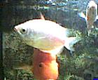 thm010_Pict0011.jpg