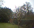 thm011_Pict0012.jpg
