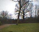 thm012_Pict0013.jpg