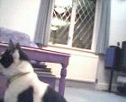 thm020_Pict0004.jpg