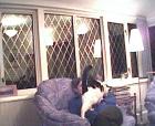 thm021_Pict0005.jpg